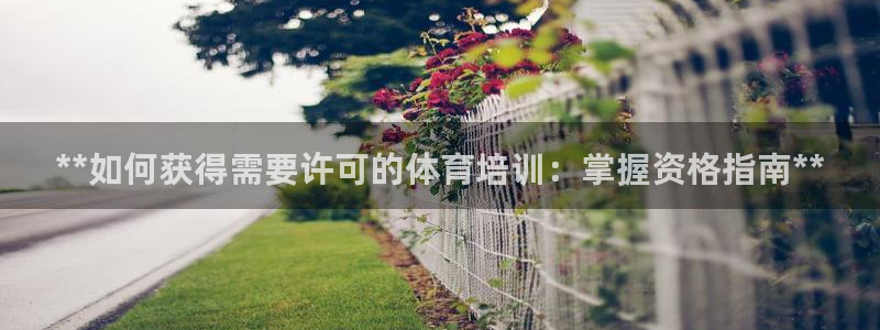 欧陆娱乐游戏：**如何获得需要许可的体育培训：掌握资
