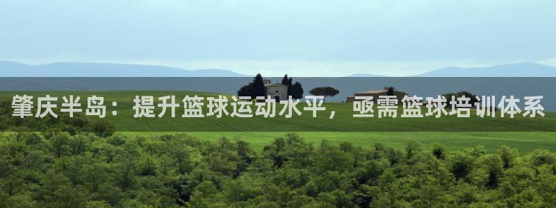 欧陆娱乐官网首页下载：肇庆半岛：提升篮球运动水平，亟需篮球培