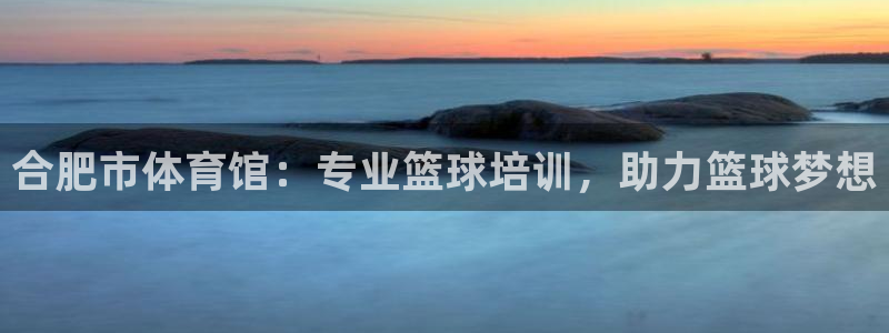 欧陆商城：合肥市体育馆：专业篮球培训，助力篮球梦想