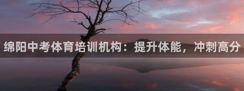 欧陆娱乐挂机项目怎么设置：绵阳中考体育培训机构：提升