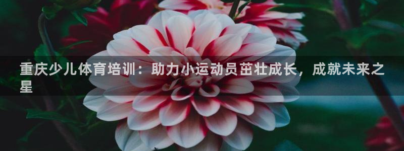 欧陆娱乐百科官网：重庆少儿体育培训：助力小运动员茁壮