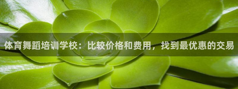 欧陆娱乐会员：体育舞蹈培训学校：比较价格和费用，找到