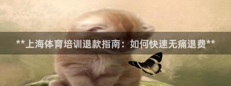 欧陆娱乐打什么方案：**上海体育培训退款指南：如何快速无痛退