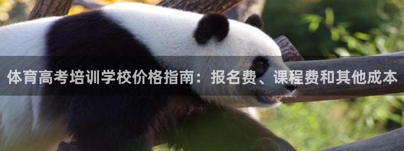 欧陆娱乐的故事有哪些：体育高考培训学校价格指南：报名费、课程