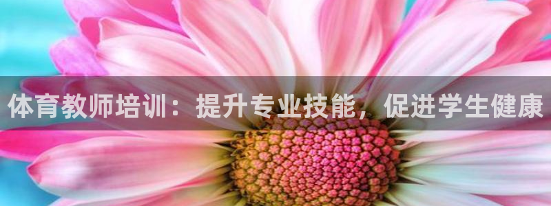 欧陆娱乐是那个旗下的品牌公司：体育教师培训：提升专业技能，促