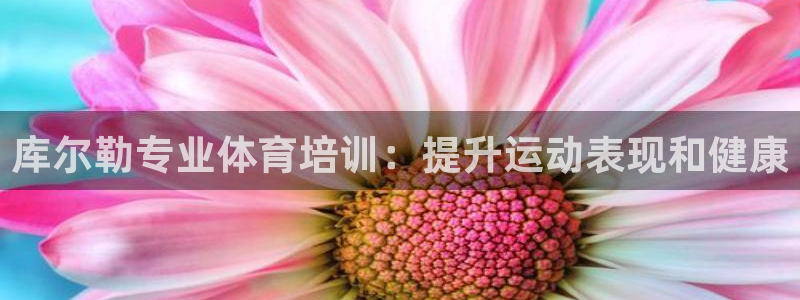 欧陆娱乐客服服务电话：库尔勒专业体育培训：提升运动表