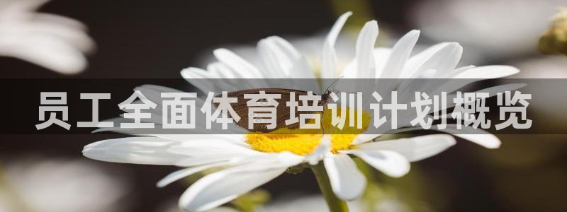 欧陆娱乐是正规平台吗安全吗可信吗是真的吗：员工全面体