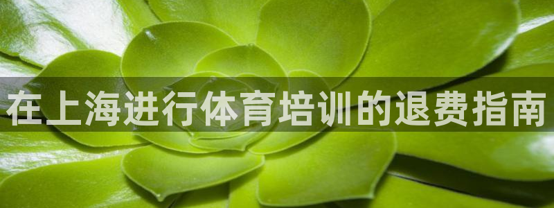 欧陆娱乐挂机项目：在上海进行体育培训的退费指南