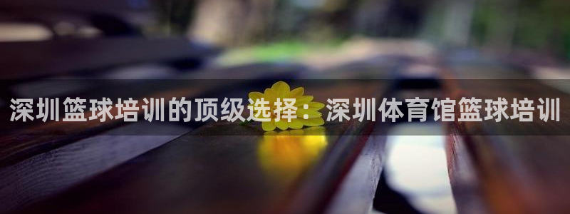 欧陆娱乐总代理电话：深圳篮球培训的顶级选择：深圳体育馆篮球培