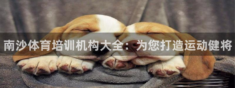 欧陆娱乐试玩官网：南沙体育培训机构大全：为您打造运动