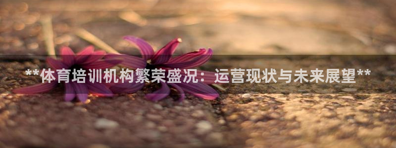 欧陆娱乐怎么注册：**体育培训机构繁荣盛况：运营现状与未来展