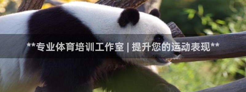 欧陆娱乐平台毕 (q—43314) 旨：**专业体育培训工作