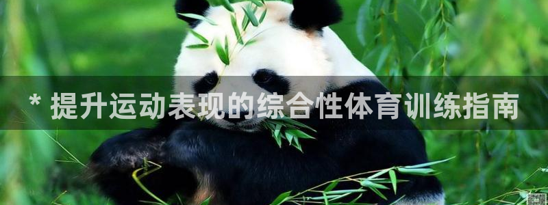 欧陆娱乐安全?：* 提升运动表现的综合性体育训练指南