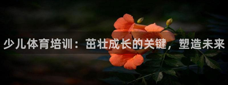 欧陆娱乐是正规平台吗安全吗可靠吗可信吗：少儿体育培训