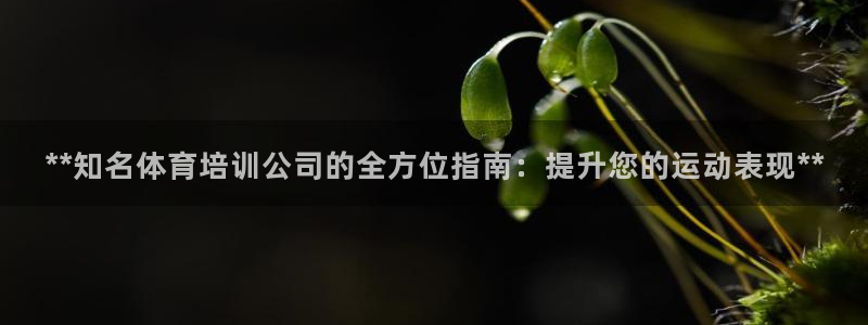 欧陆娱乐注册链接怎么弄的：**知名体育培训公司的全方位指南：