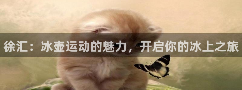 欧陆娱乐官网下载安装最新版本：徐汇：冰壶运动的魅力，开启你的
