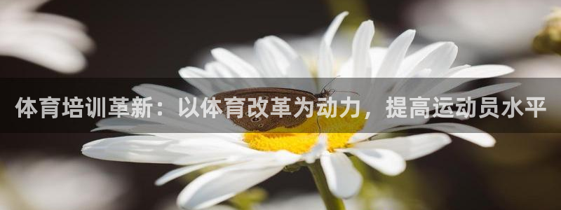 欧陆娱乐计划预测软件：体育培训革新：以体育改革为动力