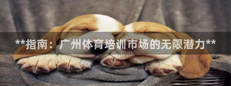 欧陆娱乐怎么注册：**指南：广州体育培训市场的无限潜力**