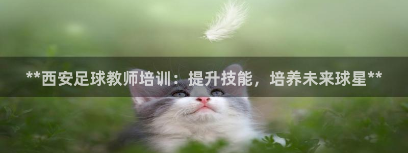 欧陆娱乐出款：**西安足球教师培训：提升技能，培养未