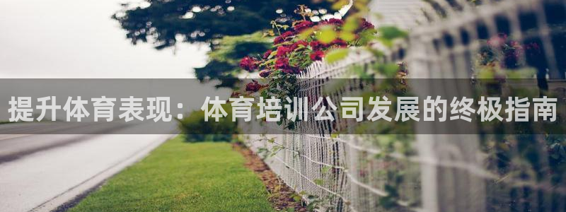 欧陆娱乐注册链接安全吗可靠吗：提升体育表现：体育培训