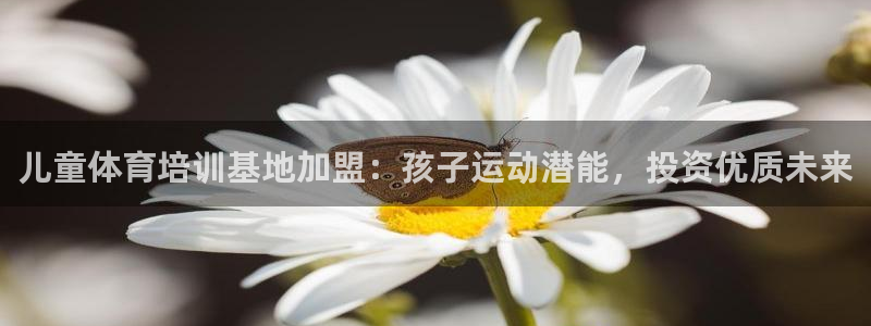 欧陆娱乐平台登陆地址在哪里：儿童体育培训基地加盟：孩子运动潜