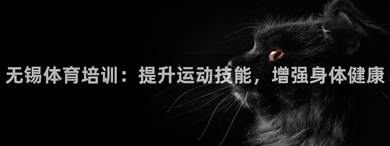 欧陆娱乐app攻略：无锡体育培训：提升运动技能，增强身体健康