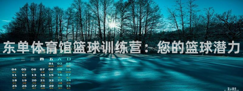 欧陆娱乐官网入口下载：东单体育馆篮球训练营：您的篮球