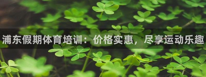 欧陆娱乐有限公司官网：浦东假期体育培训：价格实惠，尽