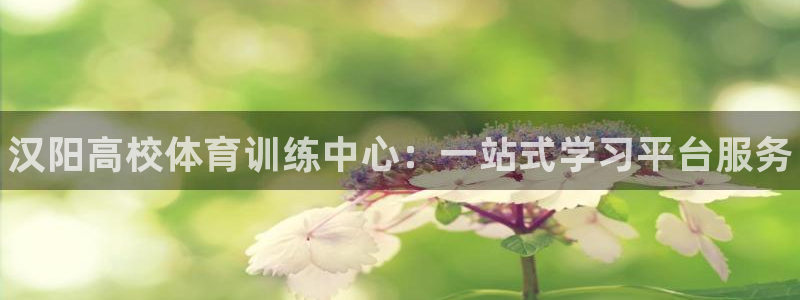 欧陆娱乐官网网址：汉阳高校体育训练中心：一站式学习平台服务