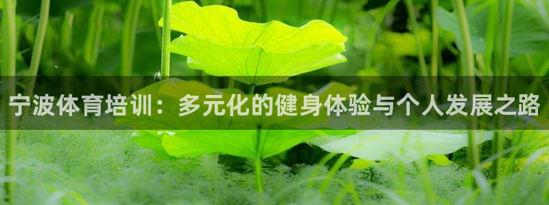 欧陆官方网站：宁波体育培训：多元化的健身体验与个人发