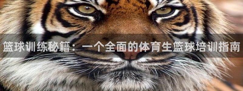 欧陆娱乐会员多少钱：篮球训练秘籍：一个全面的体育生篮