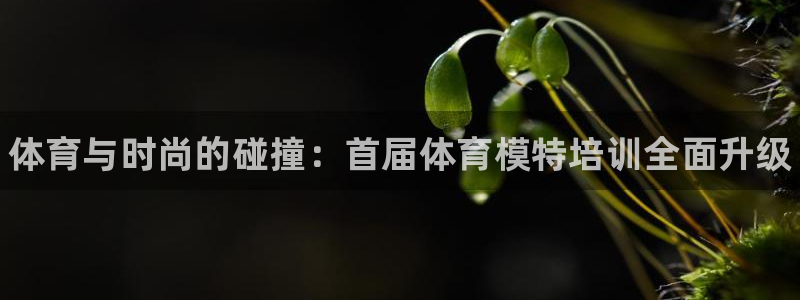欧陆娱乐简介：体育与时尚的碰撞：首届体育模特培训全面
