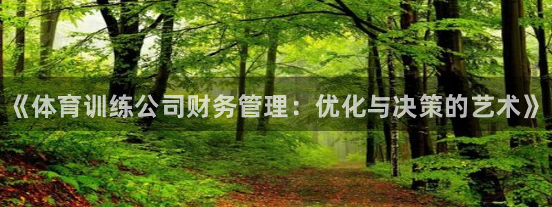 欧陆娱乐可以退钱：《体育训练公司财务管理：优化与决策的艺术》