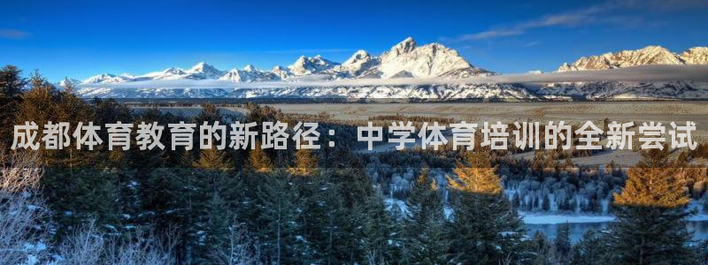 欧陆娱乐有限公司怎么样：成都体育教育的新路径：中学体育培训的
